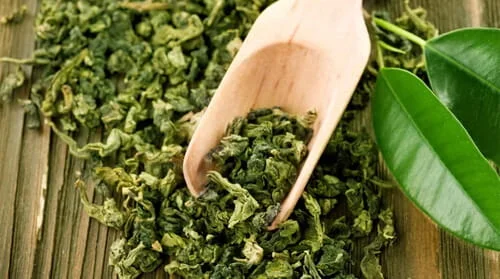 Gluco6 Ingredient Green Tea